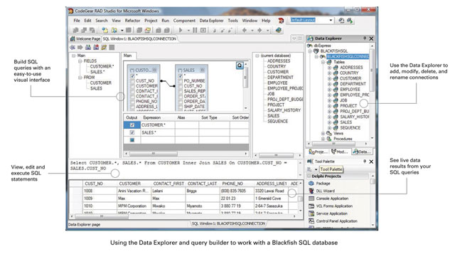 Serial Number Codegear Rad Studio Delphi 2007